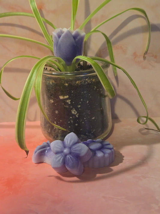 French Lavender Shimmering Wax Melts